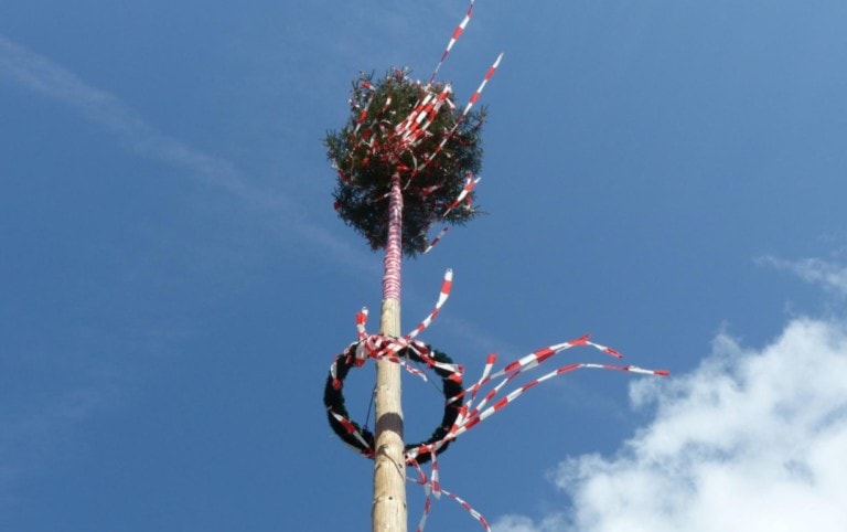 Maibaumsetzen am Rathausplatz | Stadtmarketing Klosterneuburg