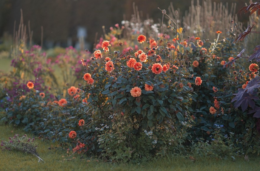 WOCHENEND-TIPPS | Was ist los in Klosterneuburg … – Stadtmarketing Klosterneuburg