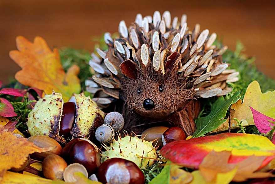 WOCHENEND-TIPPS | Was ist los in Klosterneuburg … – Stadtmarketing Klosterneuburg