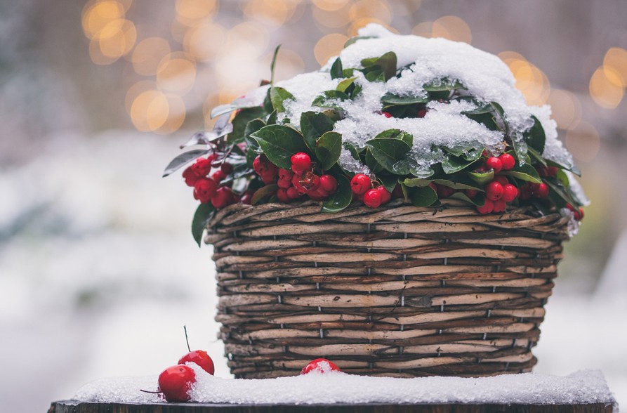 WOCHENEND-TIPPS | Was ist los in Klosterneuburg … – Stadtmarketing Klosterneuburg