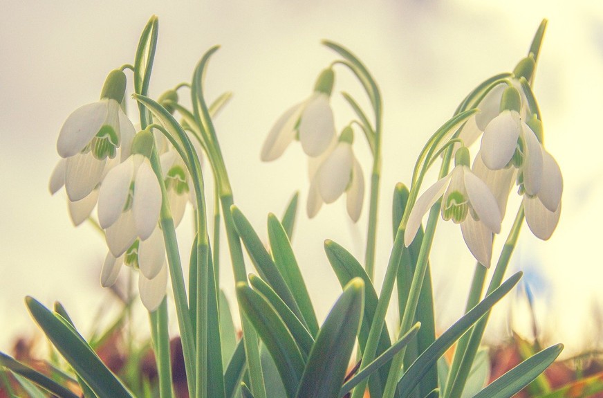 WOCHENEND-TIPPS | Was ist los in Klosterneuburg … – Stadtmarketing Klosterneuburg