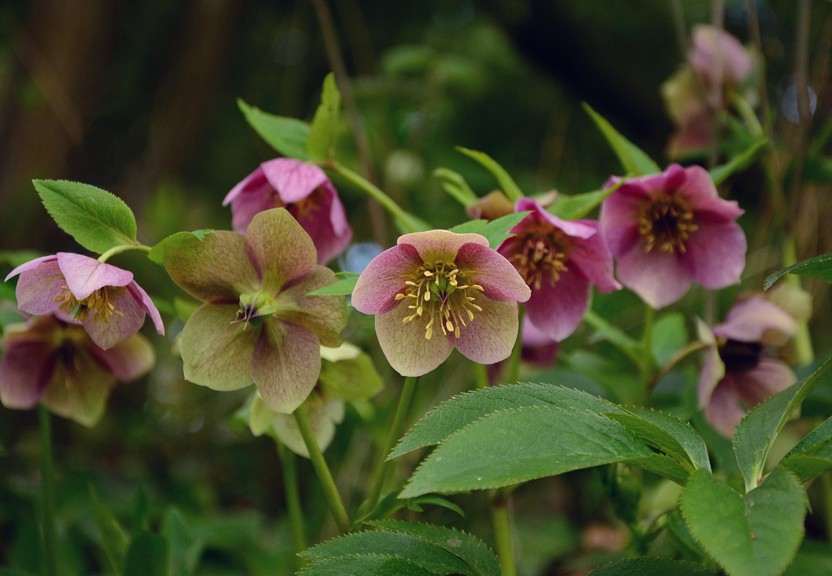 WOCHENEND-TIPPS | Was ist los in Klosterneuburg … – Stadtmarketing Klosterneuburg