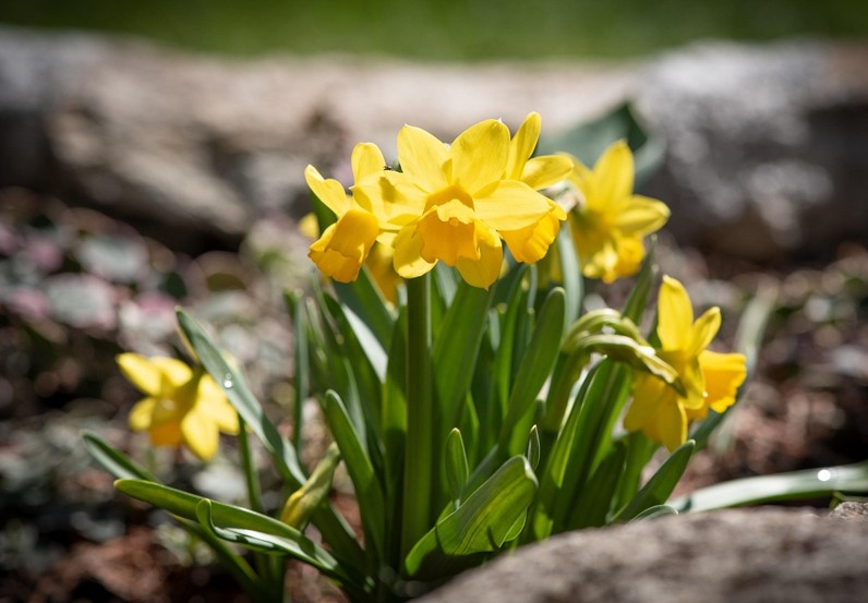 WOCHENEND-TIPPS | Was ist los in Klosterneuburg … – Stadtmarketing Klosterneuburg