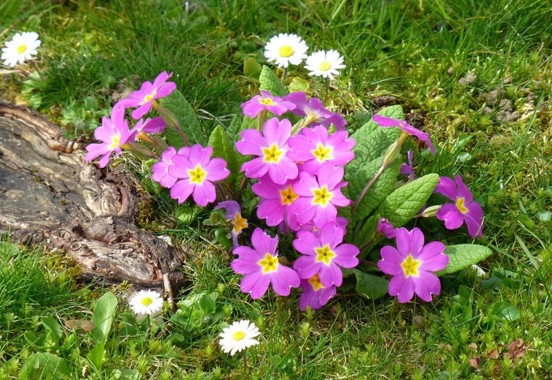 WOCHENEND-TIPPS | Was ist los in Klosterneuburg … – Stadtmarketing Klosterneuburg