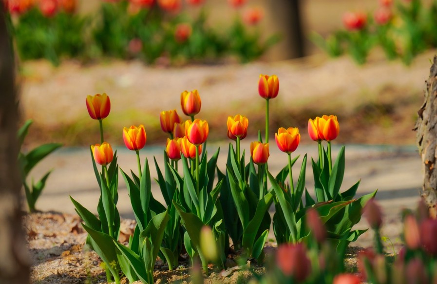 WOCHENEND-TIPPS | Was ist los in Klosterneuburg … – Stadtmarketing Klosterneuburg