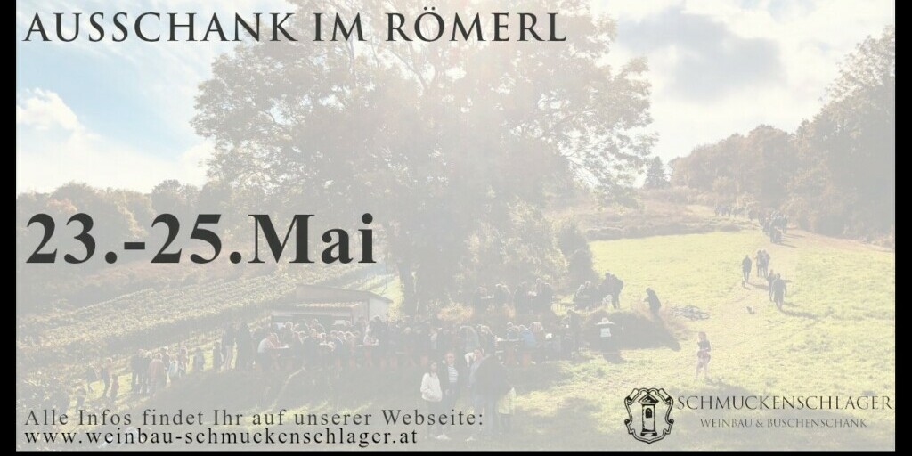 Weinbau Schmuckenschlager