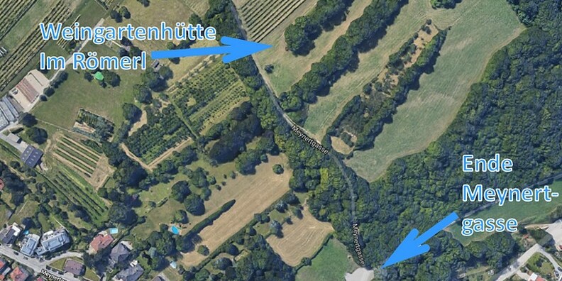 Weinbau Schmuckenschlager