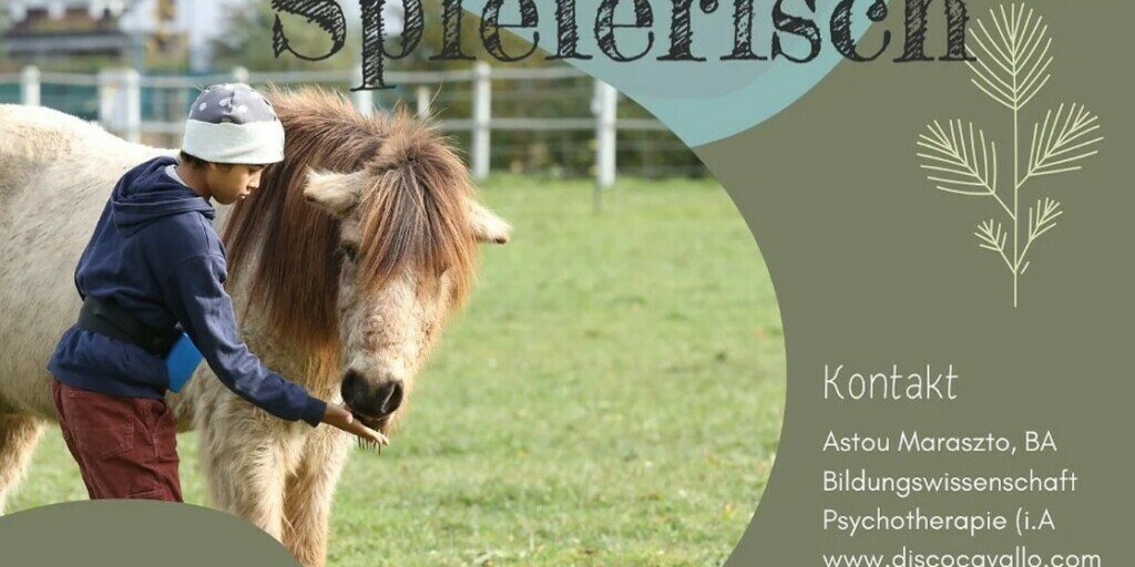 Disco Cavallo